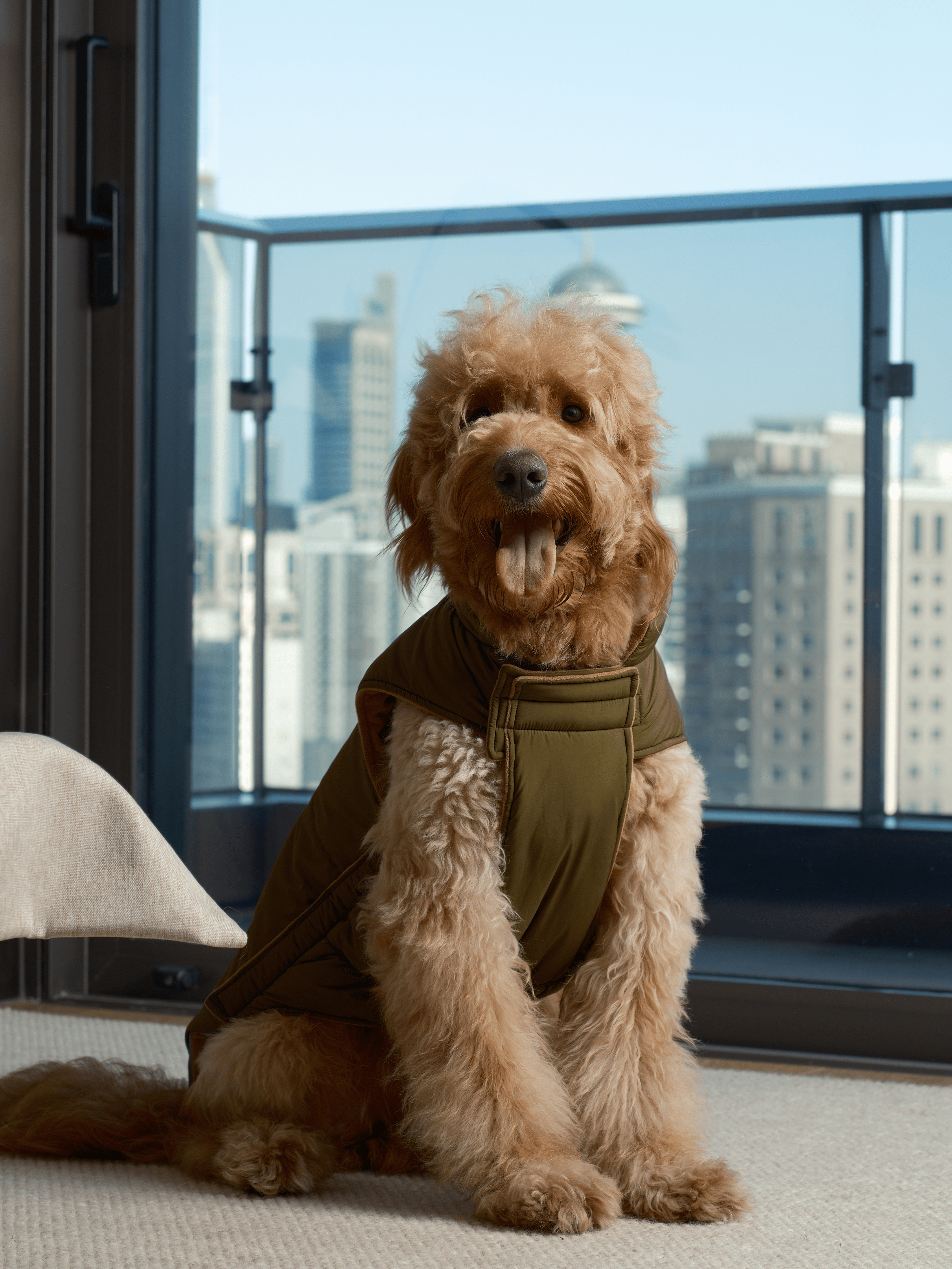 Gilet réversible pour chien - Vert marron