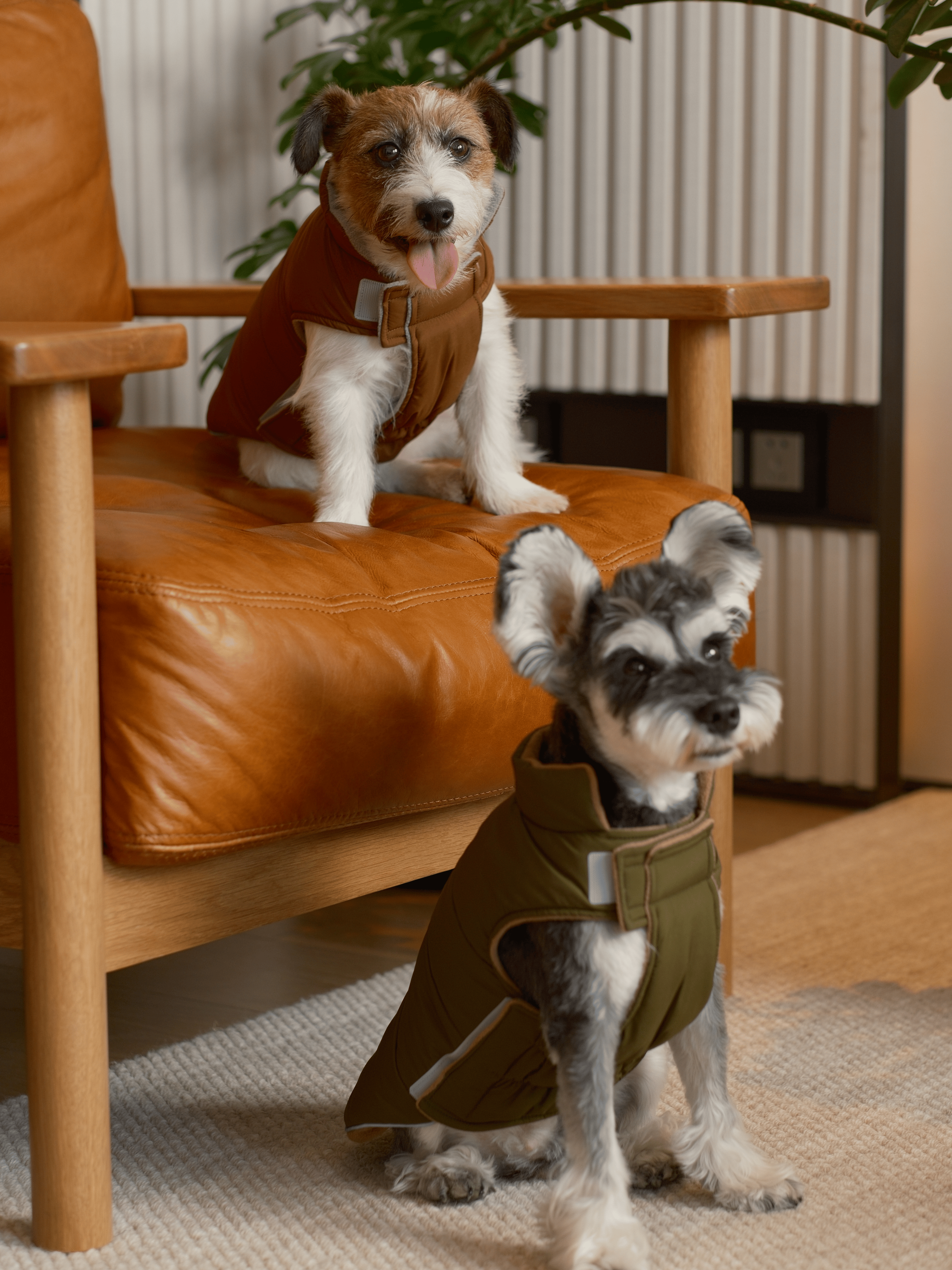 Gilet réversible pour chien - Vert marron