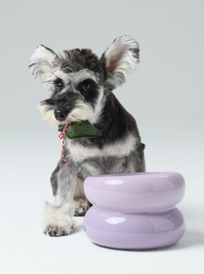 Gamelle Soufflée pour Animaux de Compagnie - Violette