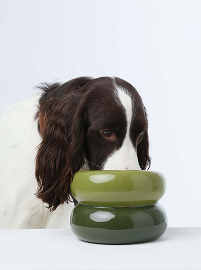 Gamelle Soufflé – Vert avocat