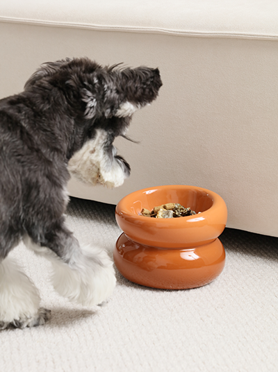 Gamelle Soufflé pour animaux de compagnie - Orange ambré