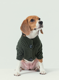 CARDIGAN BERT - VERT FONCÉ