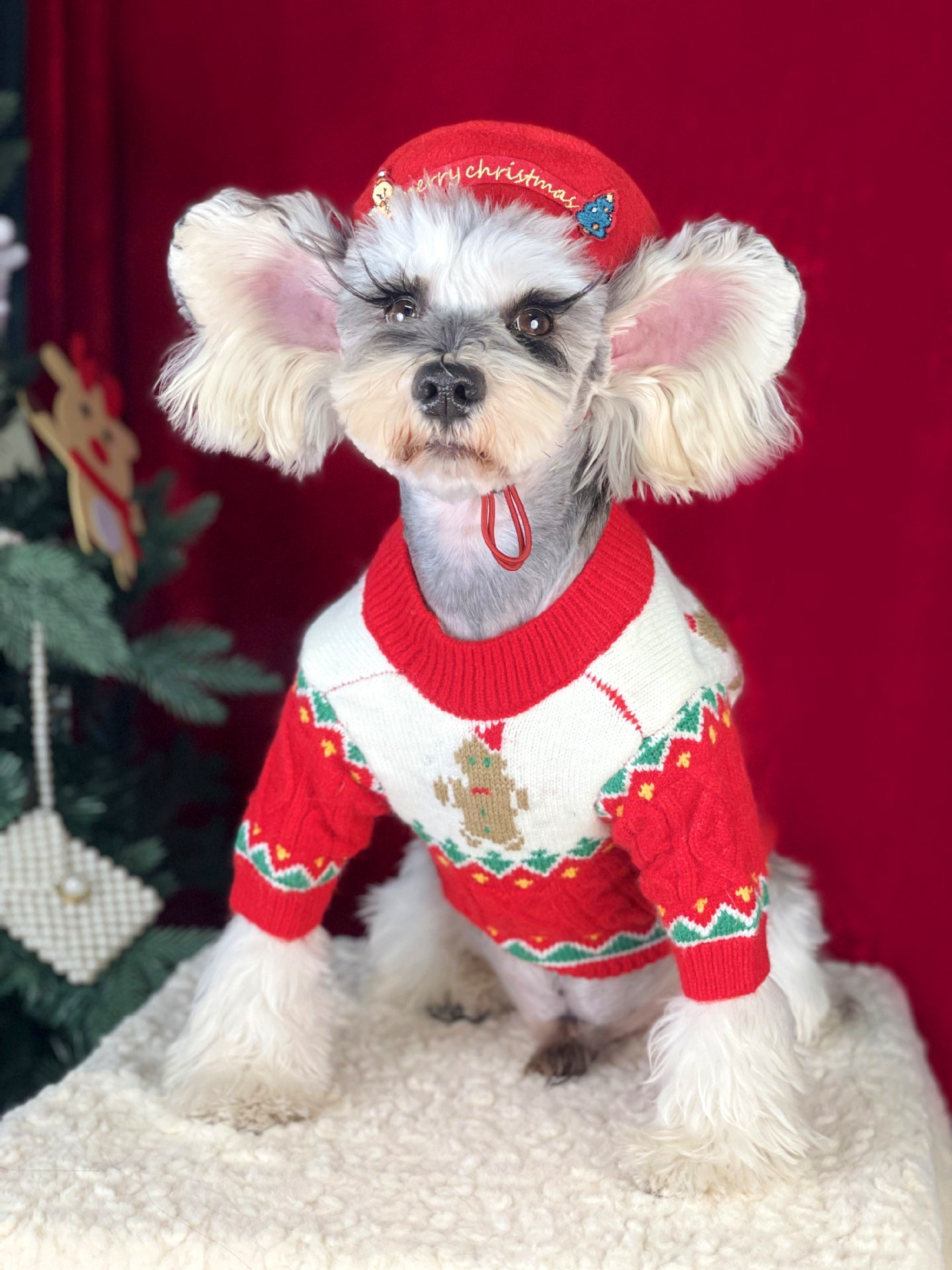 Christmas sweater+hat red XXL