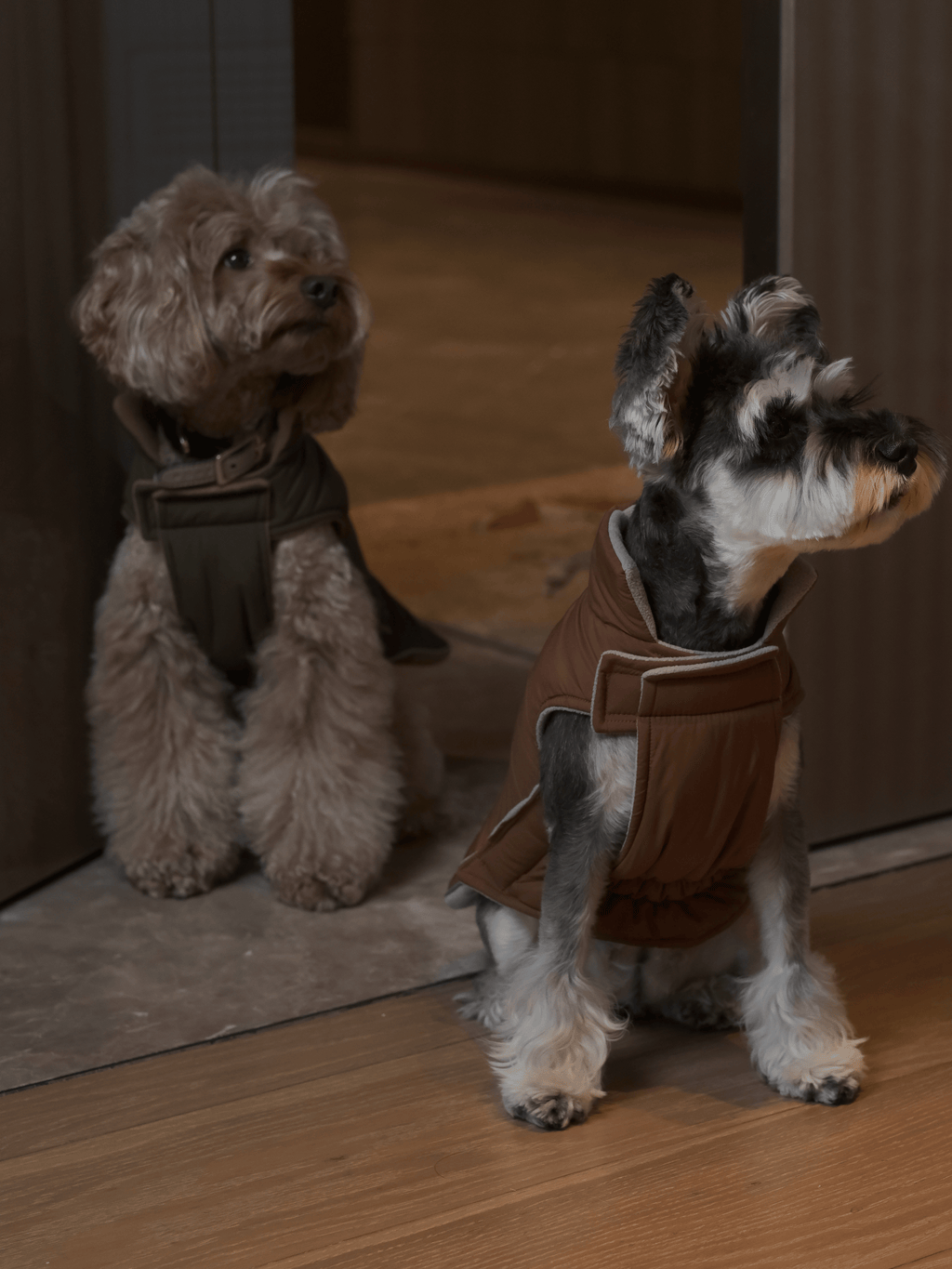 Gilet réversible pour chien - Orange Gris