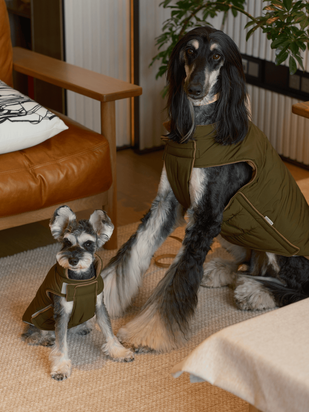 Gilet réversible pour chien - Vert marron