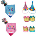 Ensemble d'anniversaire pour chien – Chapeau, bandana et bannière pour un moment de fête amusant