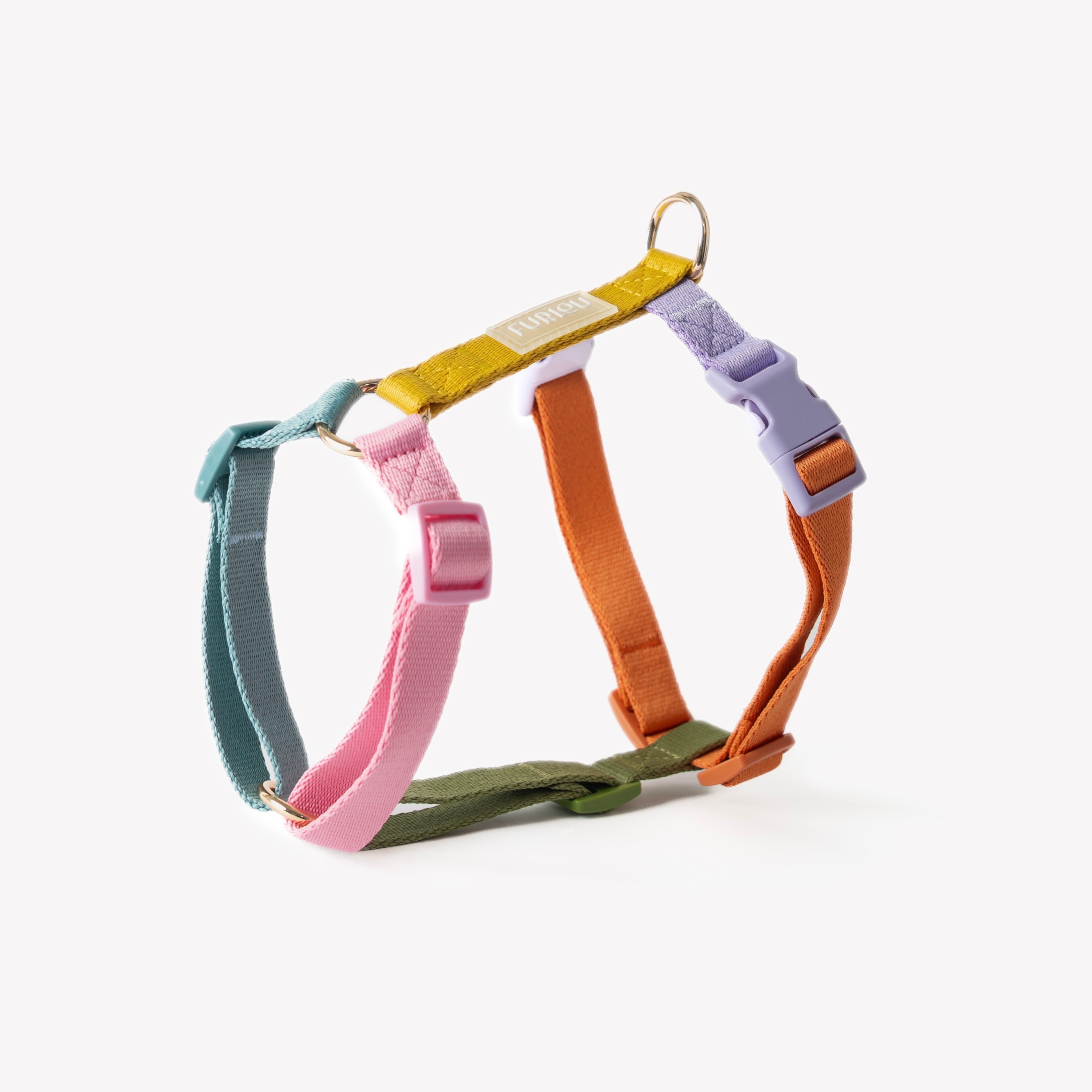 Rainbow - Harnais pour chien