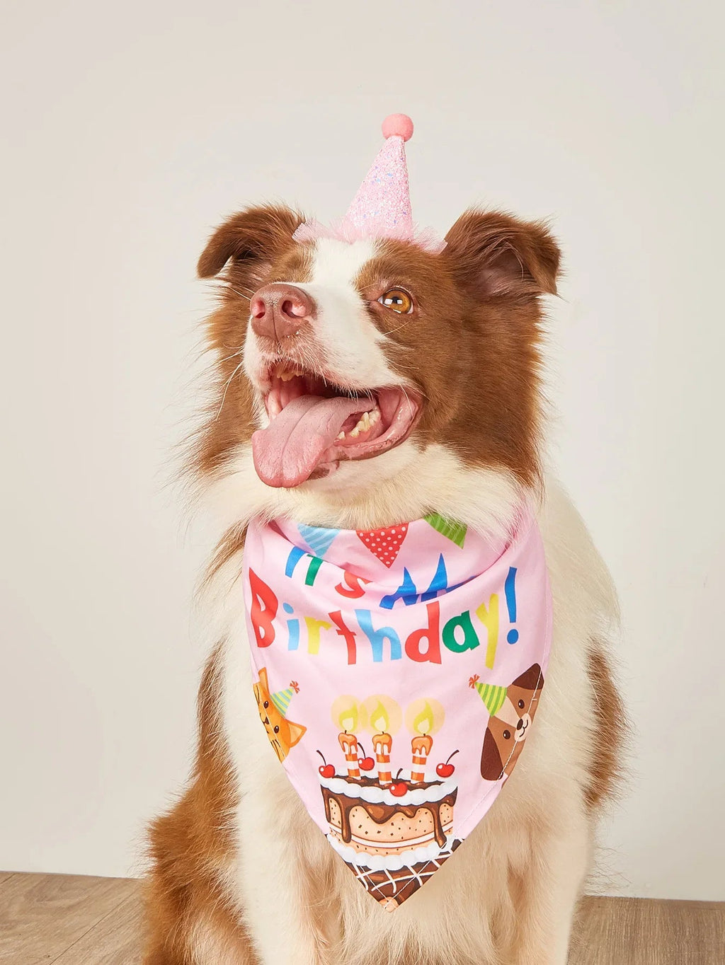 Décoration d'anniversaire pour chien, chapeaux de costume de chien, nœuds, bandana, bavoirs, banderoles, accessoires de fête pour chats et chiens, animaux de compagnie, perros