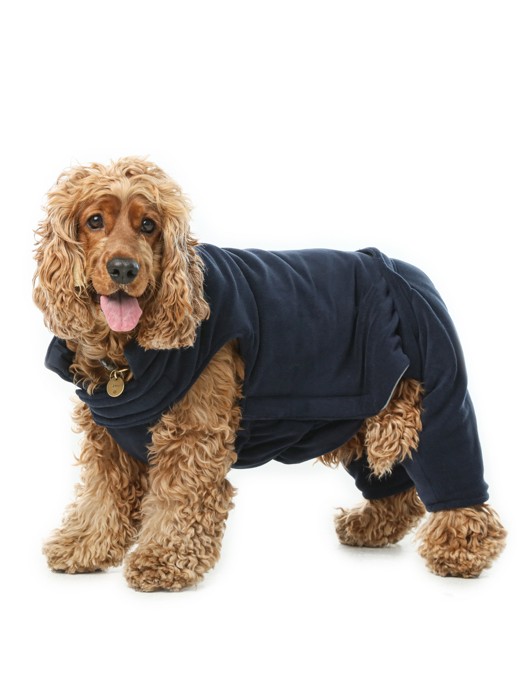 Gilet réversible pour chien - Bleu