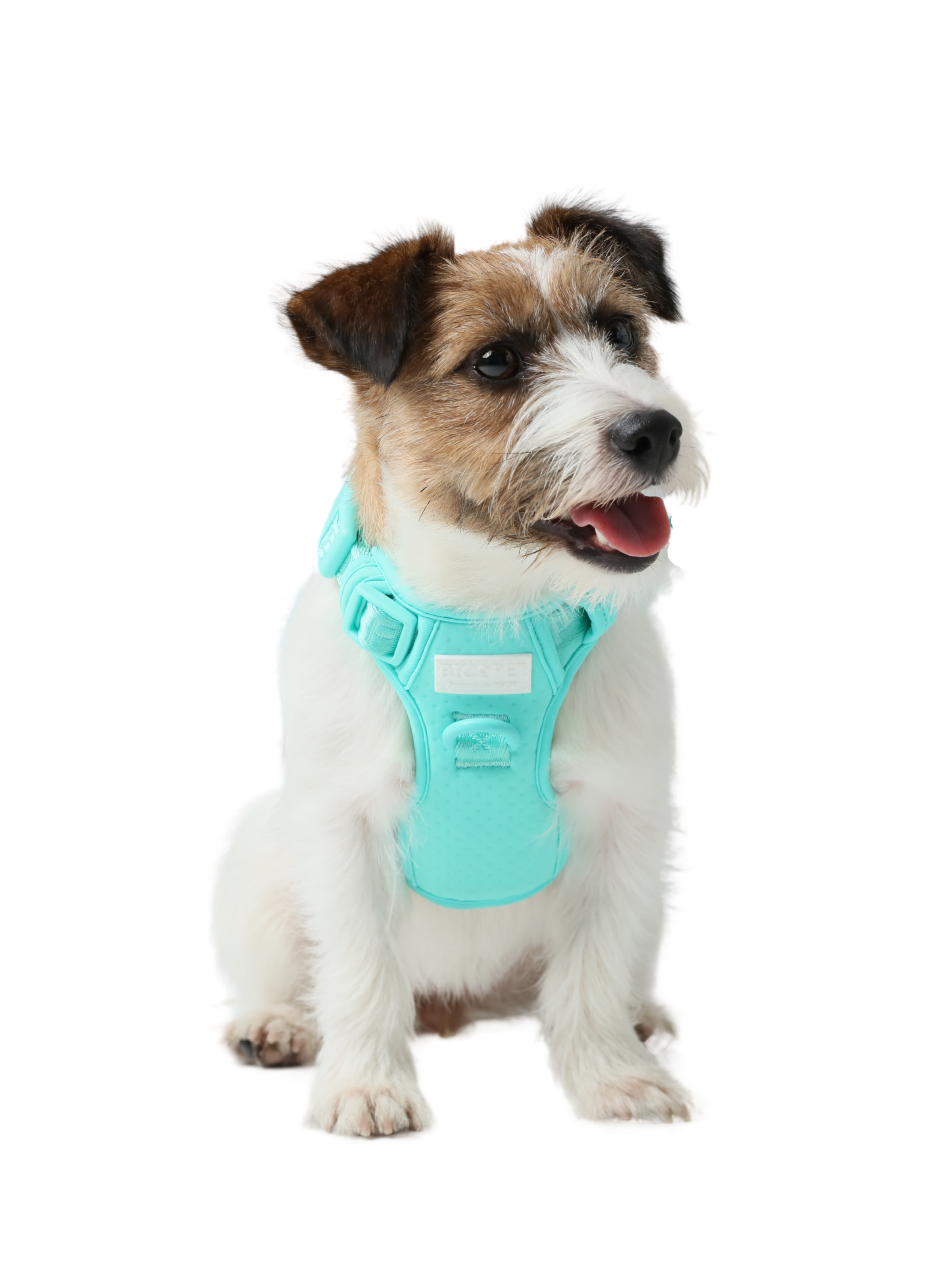 HARNAIS POUR ANIMAUX ANTI-TRACTION - VERT MENTHE