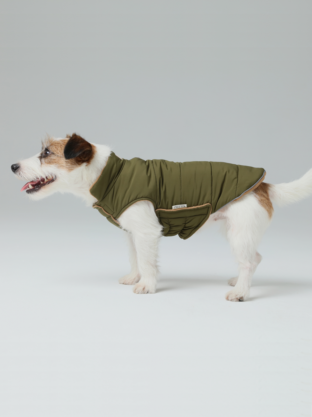 Gilet réversible pour chien - Vert marron