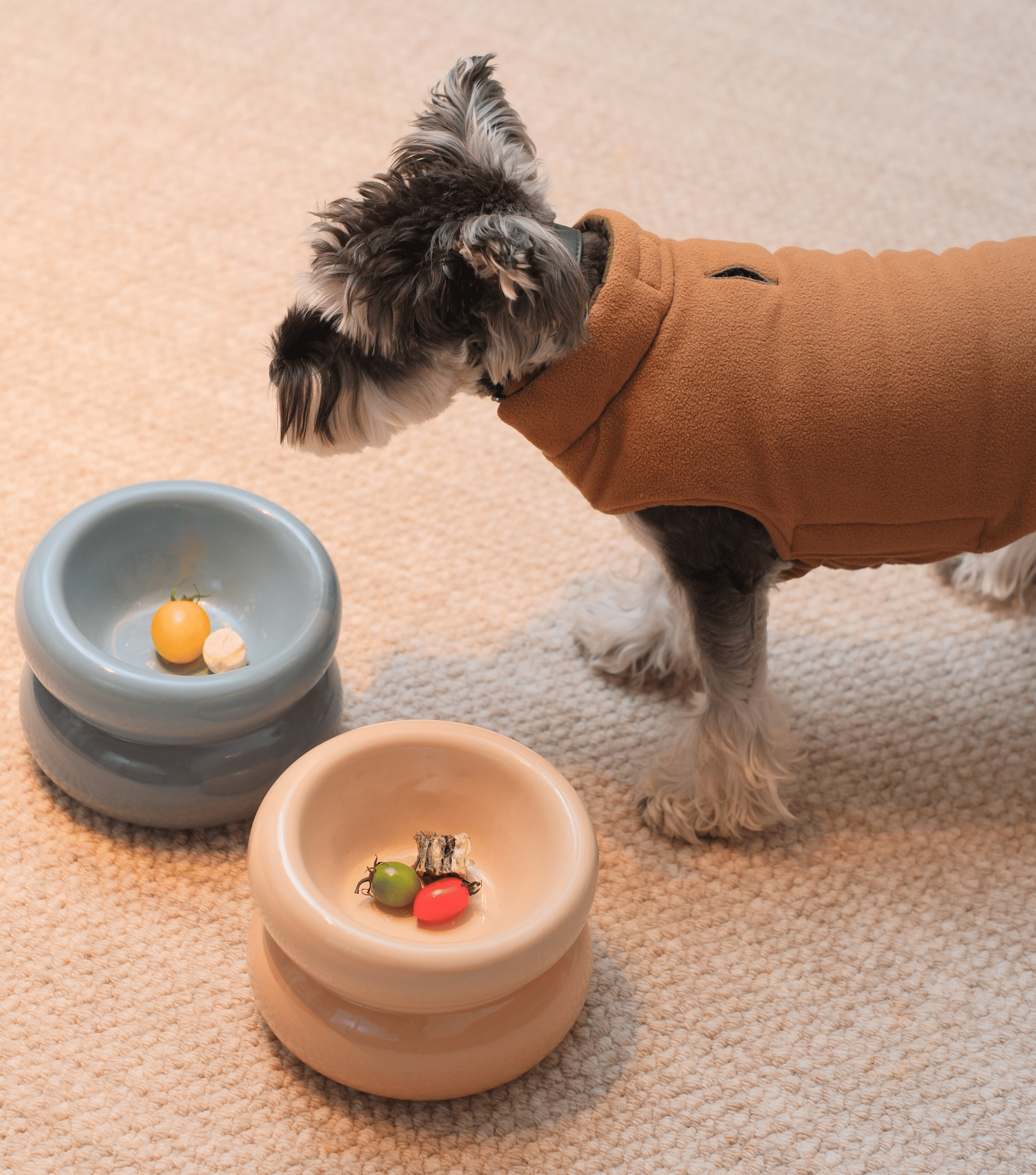 Gamelle Soufflé pour animaux de compagnie - Beige crème