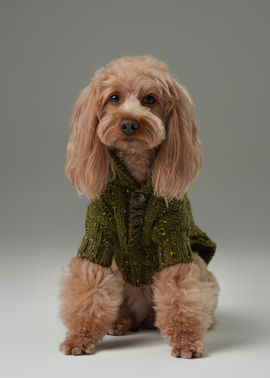 GLACIER PET SWEATER - OLIVE GREEN