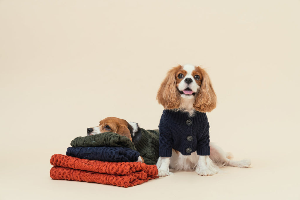 CARDIGAN BERT - VERT FONCÉ