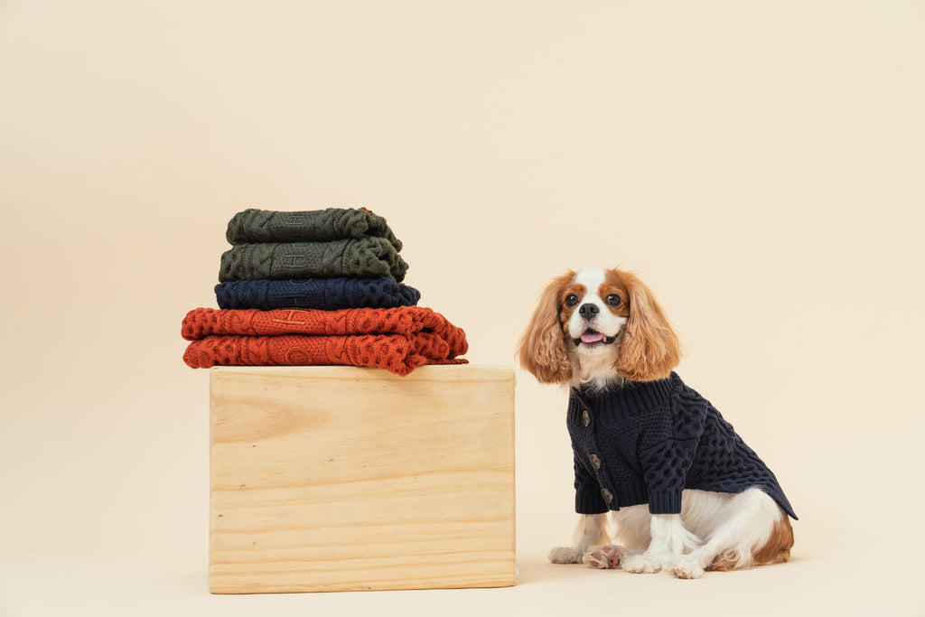 CARDIGAN BERT - VERT FONCÉ