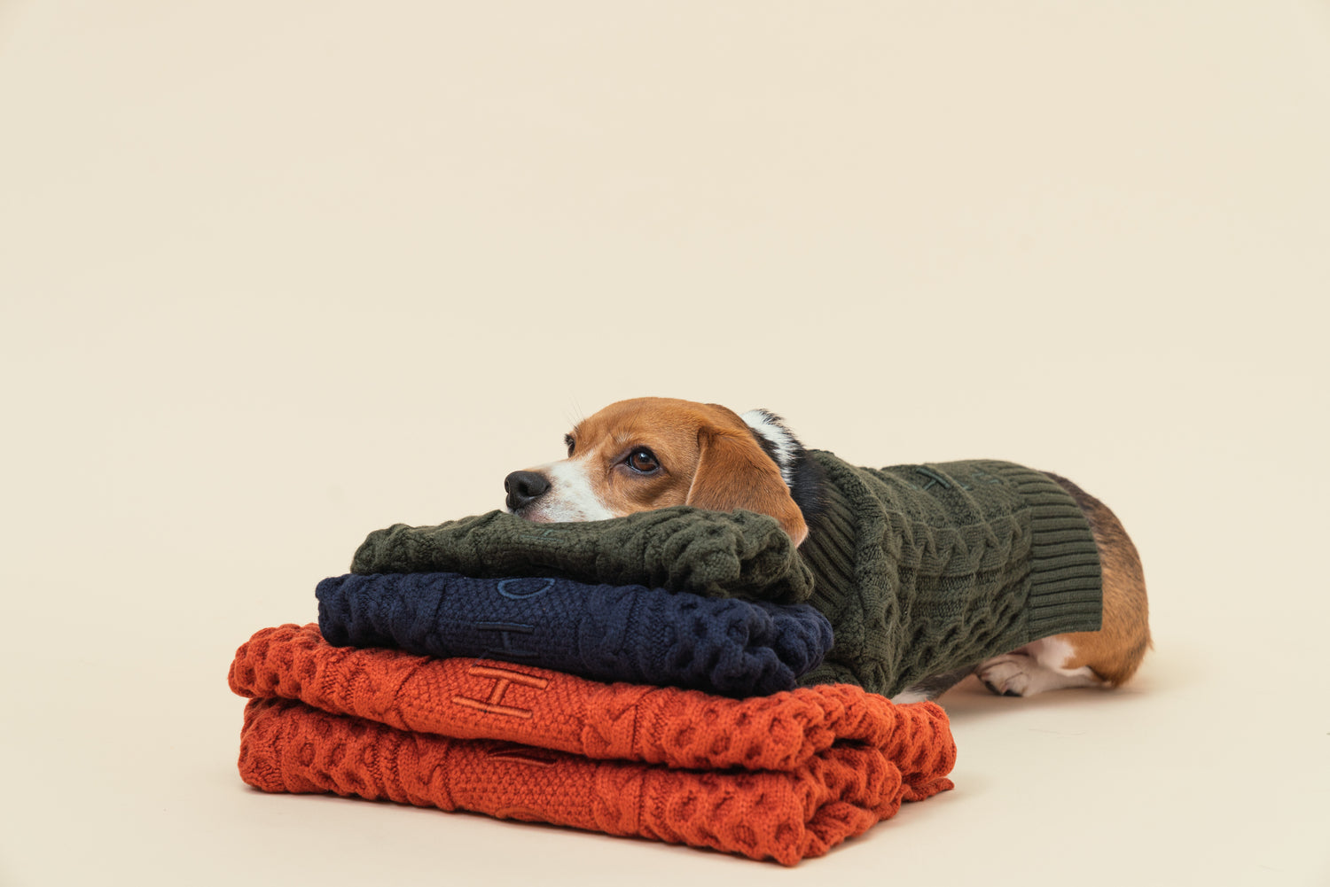 CARDIGAN BERT - VERT FONCÉ