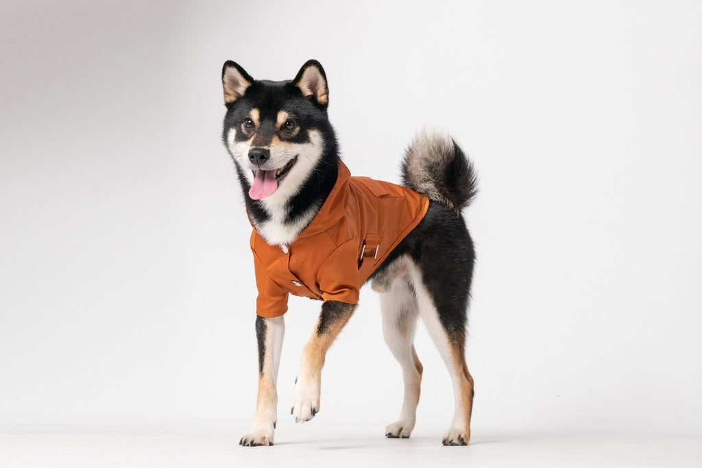 IMPERMÉABLE BOWERY - ORANGE