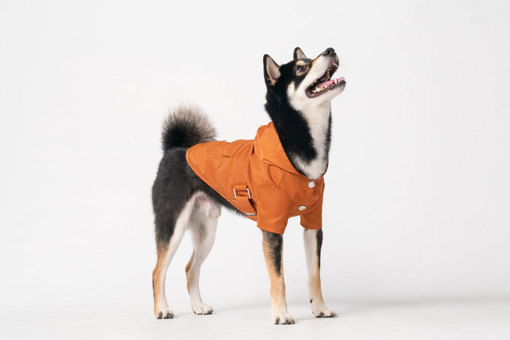 IMPERMÉABLE BOWERY - ORANGE