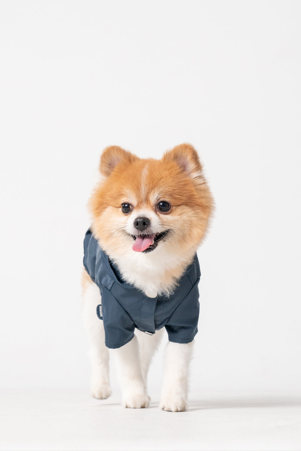 IMPERMÉABLE BOWERY - BLEU