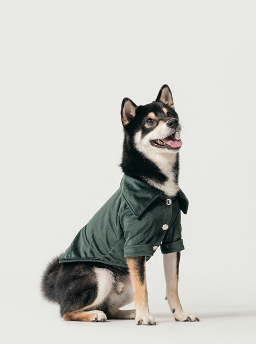 CHEMISE STAINWAY - VERT