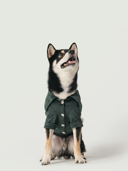 CHEMISE STAINWAY - VERT