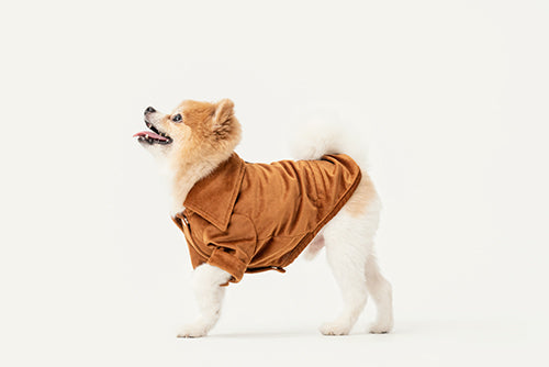 CHEMISE STAINWAY - ORANGE