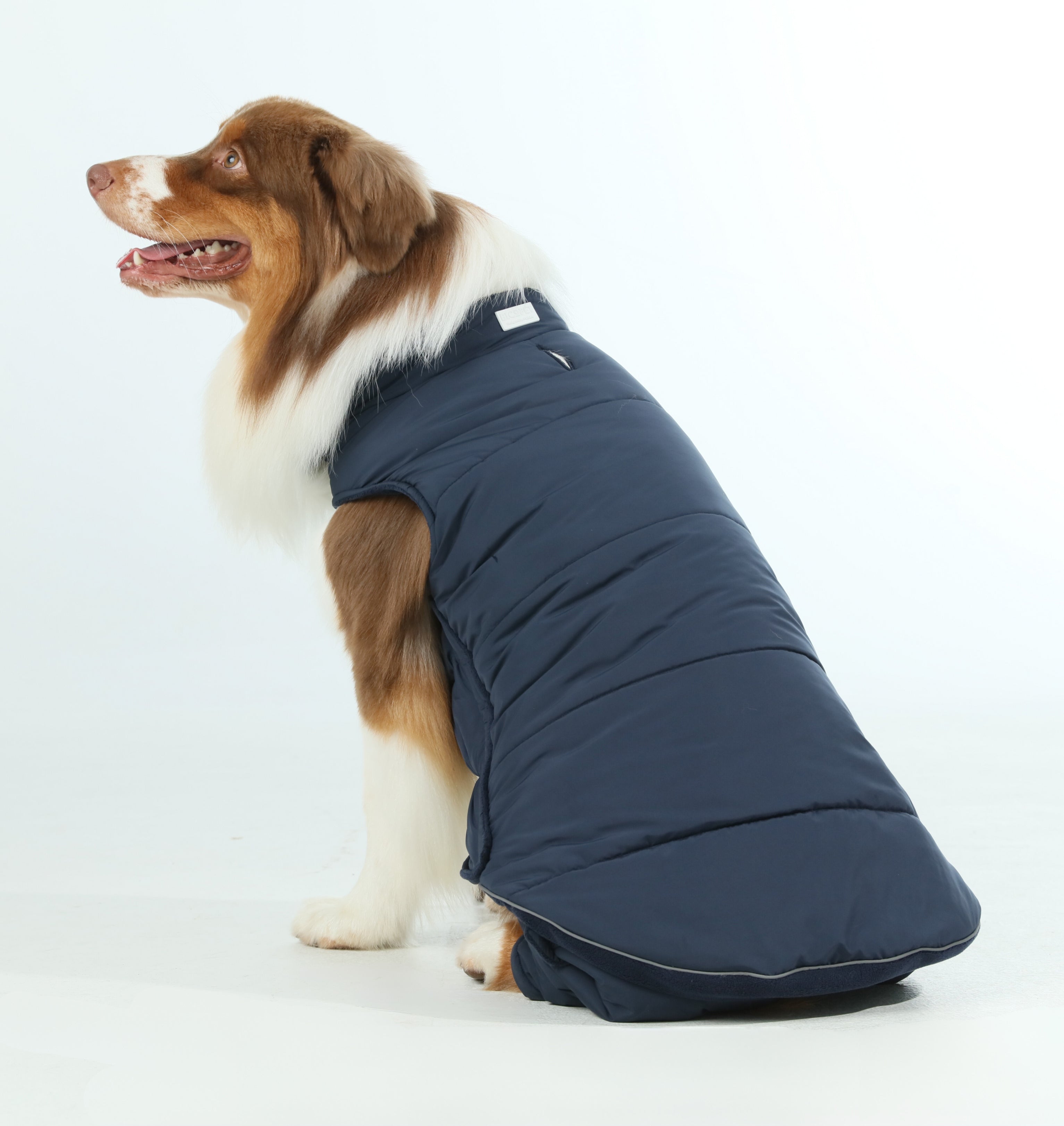Gilet réversible pour chien - Bleu