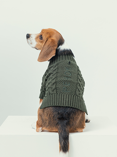 CARDIGAN BERT - VERT FONCÉ