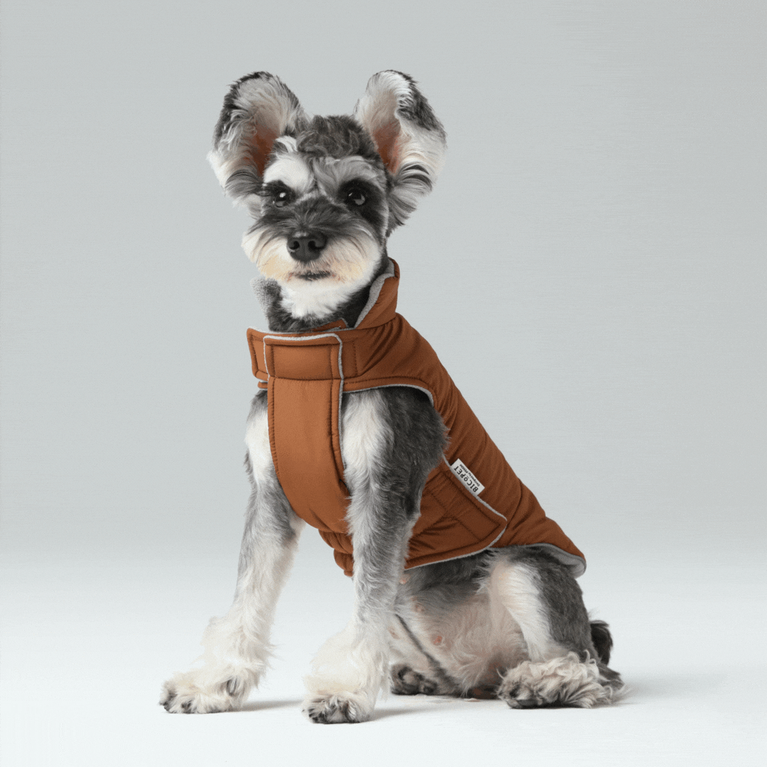 Gilet réversible pour chien - Orange Gris