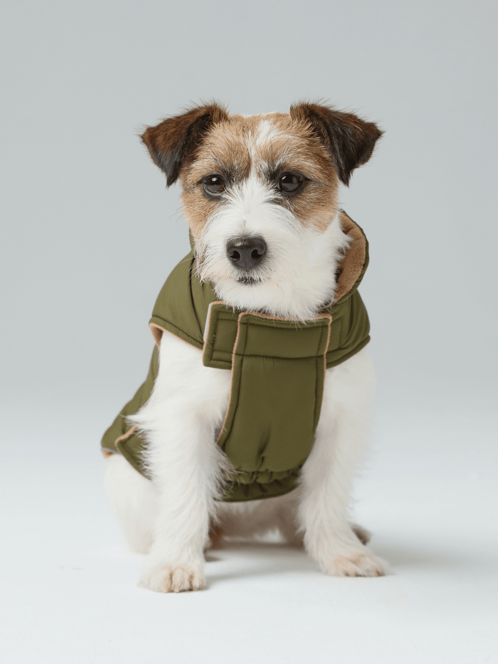 Gilet réversible pour chien - Vert marron
