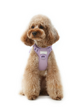 HARNAIS POUR ANIMAUX DE COMPAGNIE ANTI-TRACTION - VIOLET MENTHE