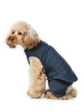 Gilet réversible pour chien - Bleu
