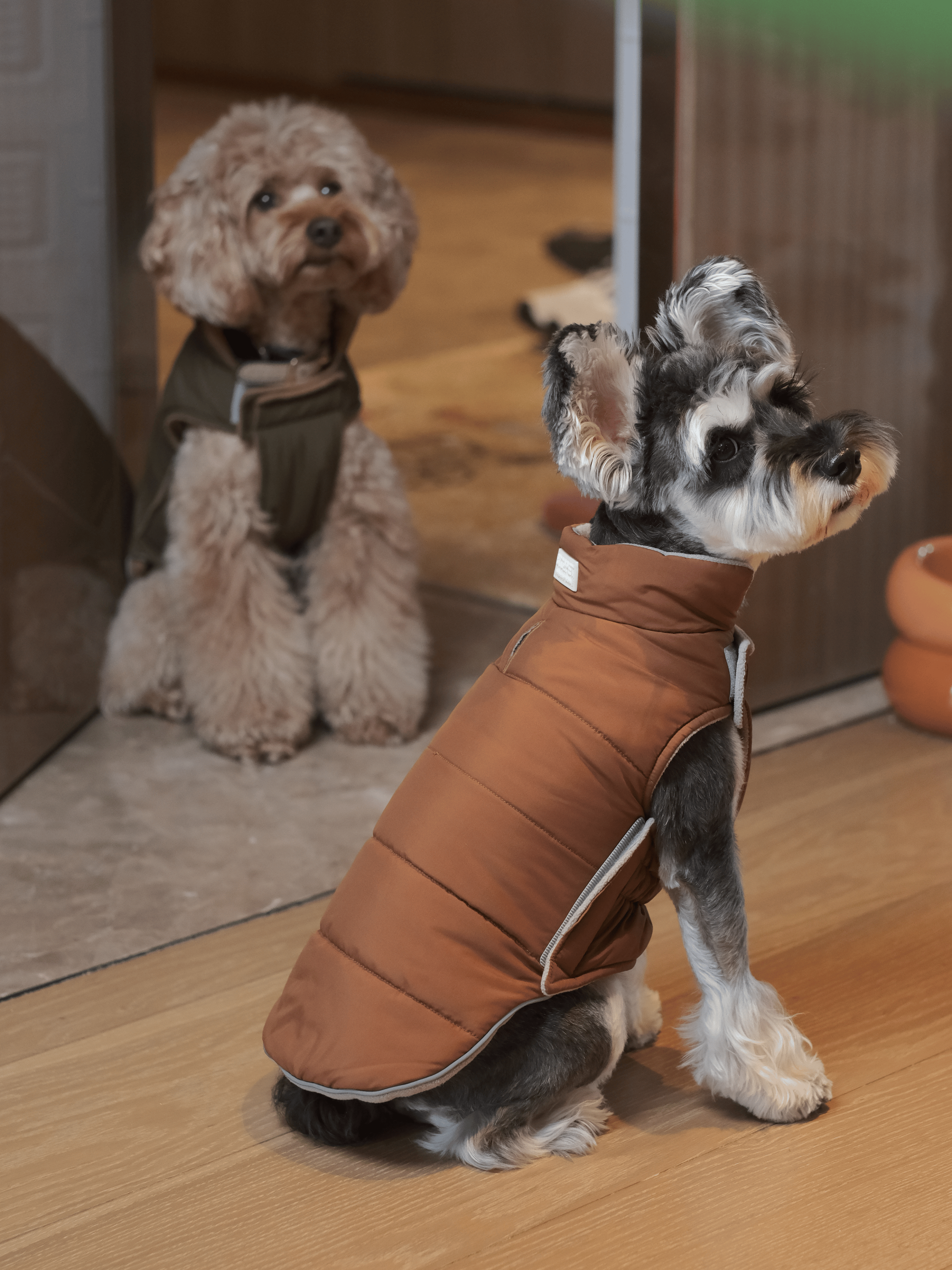 Gilet réversible pour chien - Orange Gris