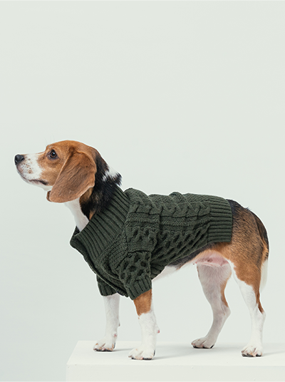 CARDIGAN BERT - VERT FONCÉ