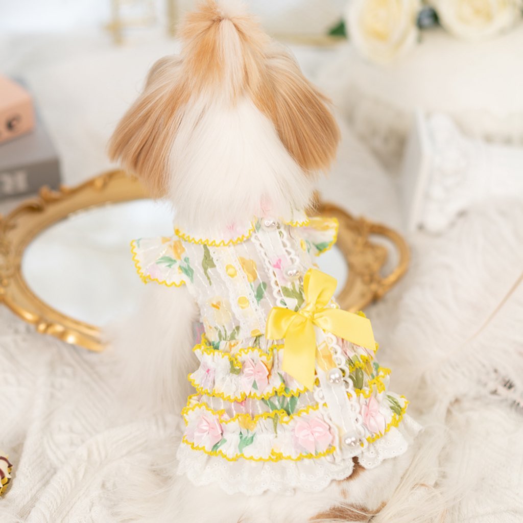 Luxury design dog dress tulip chiffon 2 colors