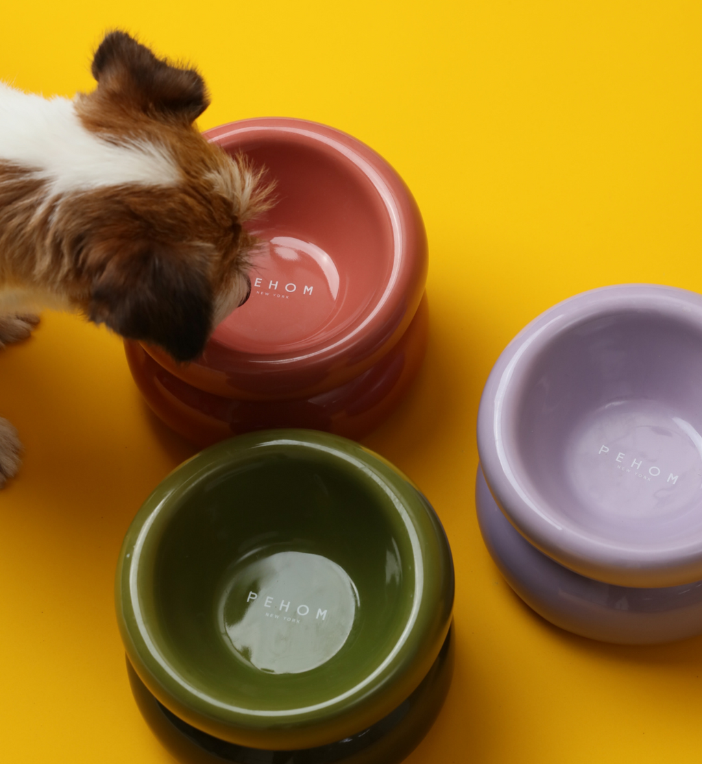 Gamelle Soufflée pour Animaux de Compagnie - Violette