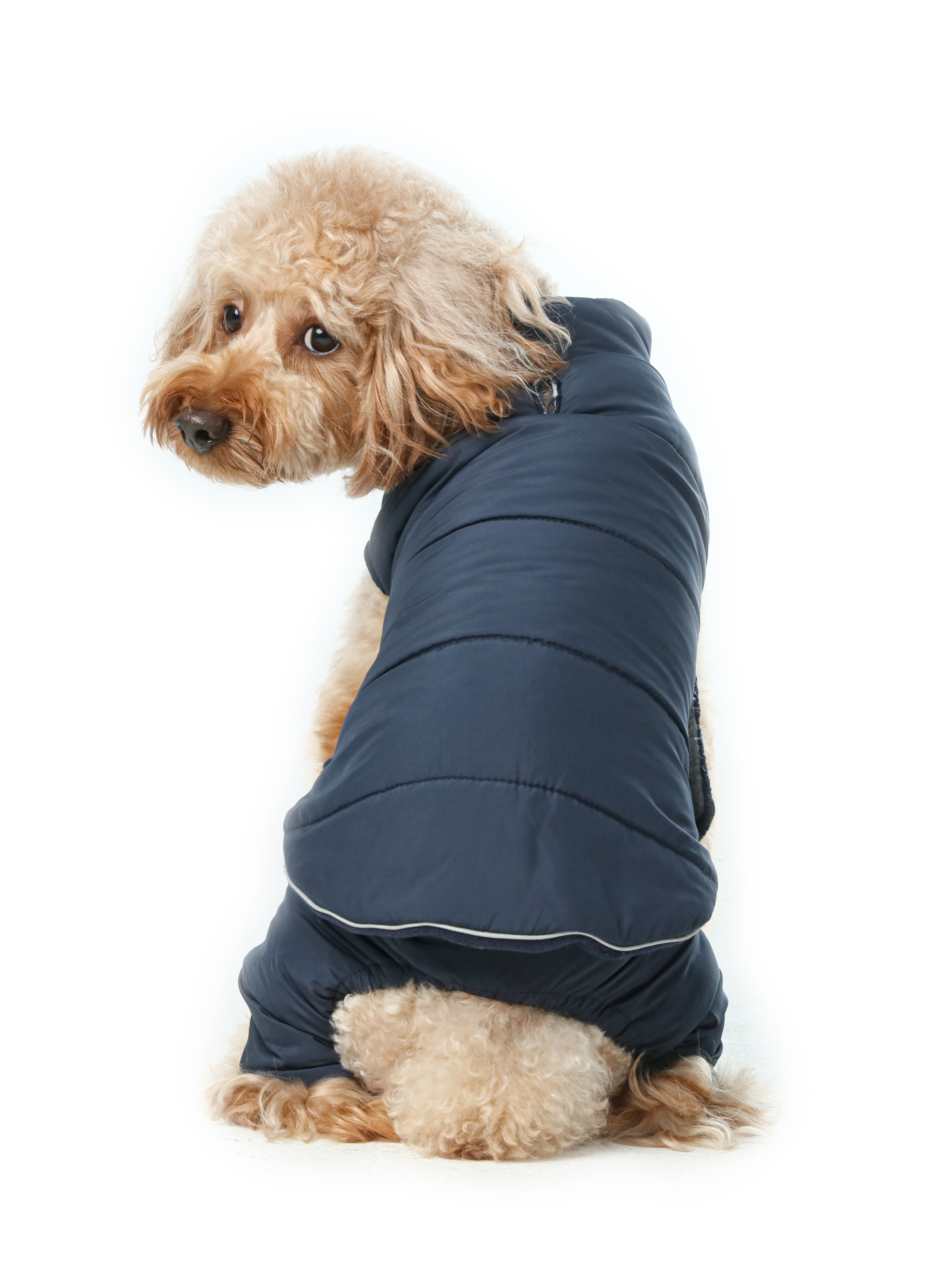 Gilet réversible pour chien - Bleu