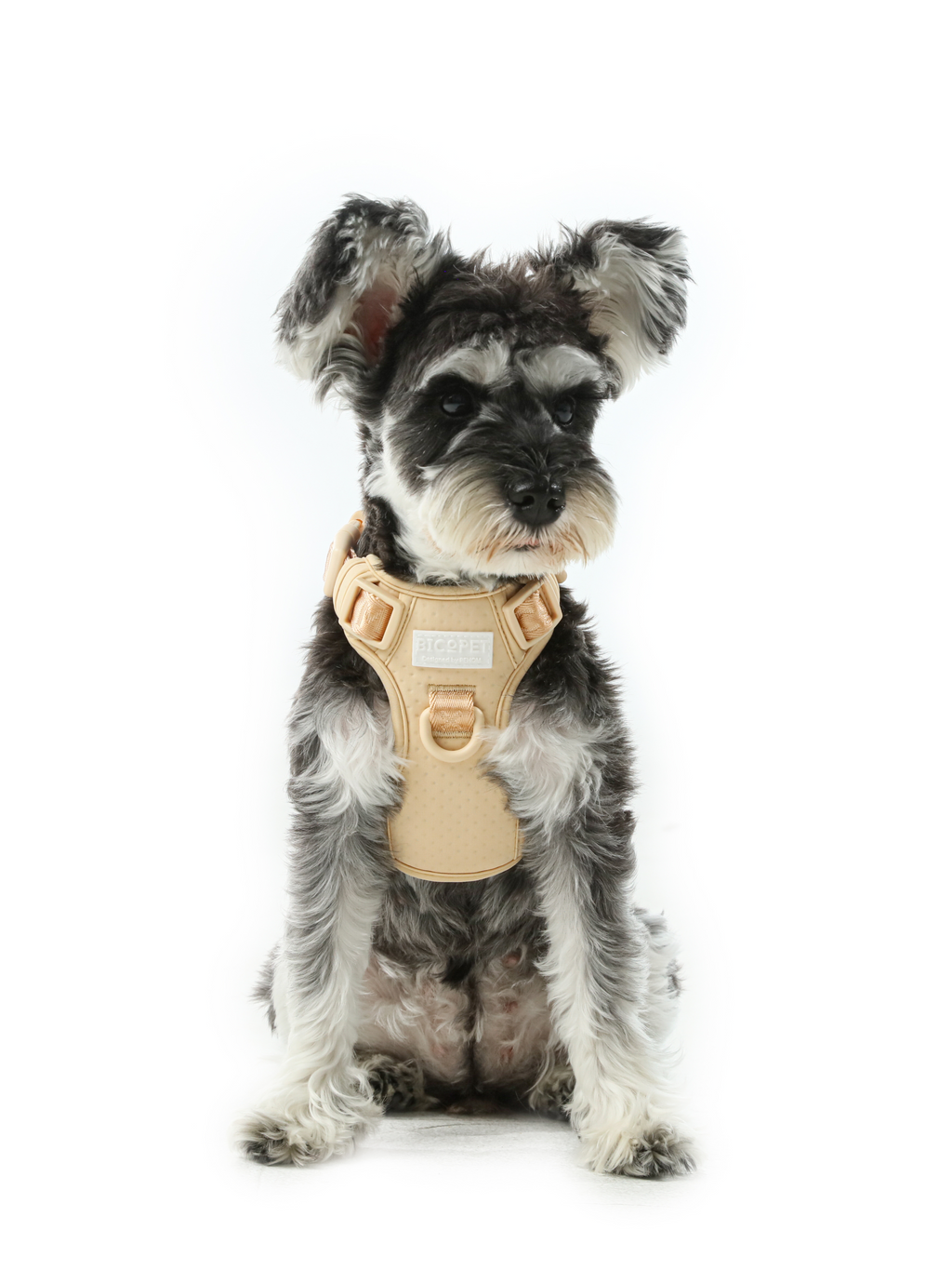 HARNAIS ANTI-TRACTION ACTIF POUR ANIMAL DE COMPAGNIE - ABRICOT