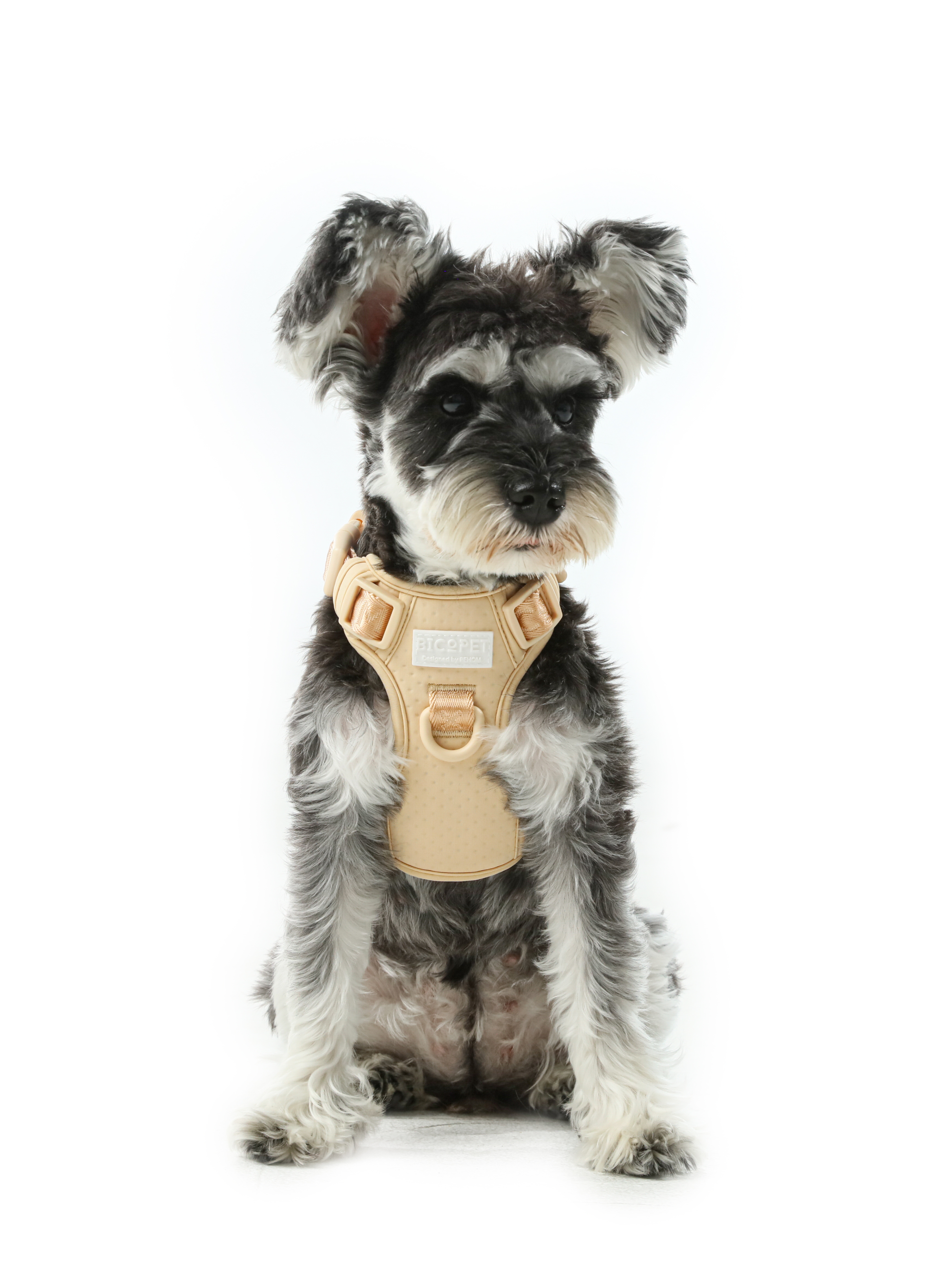 HARNAIS ANTI-TRACTION ACTIF POUR ANIMAL DE COMPAGNIE - ABRICOT