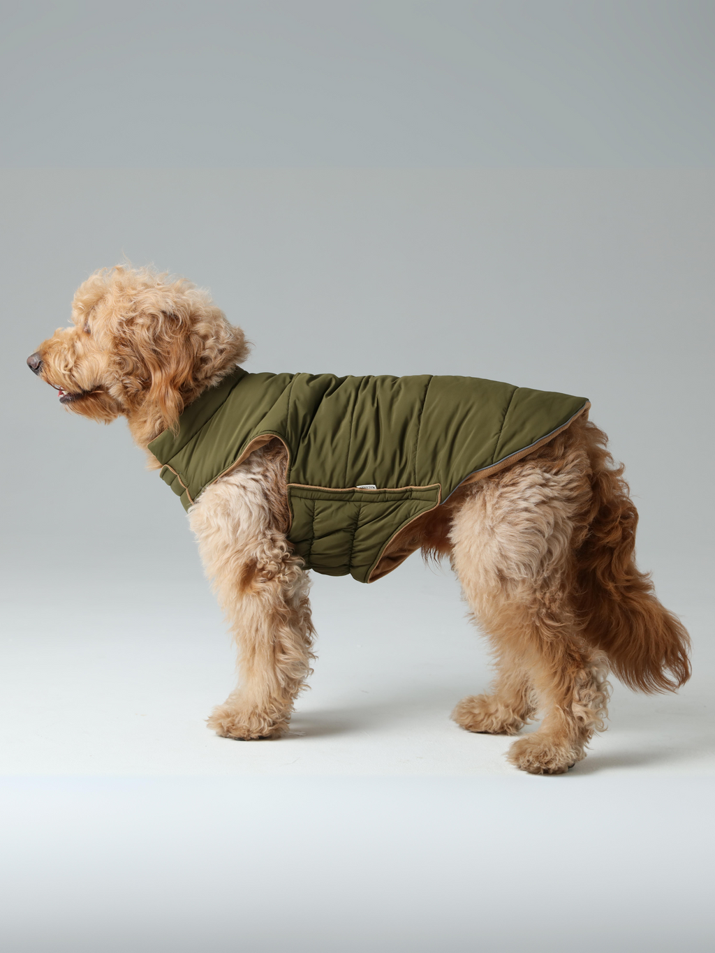 Gilet réversible pour chien - Vert marron
