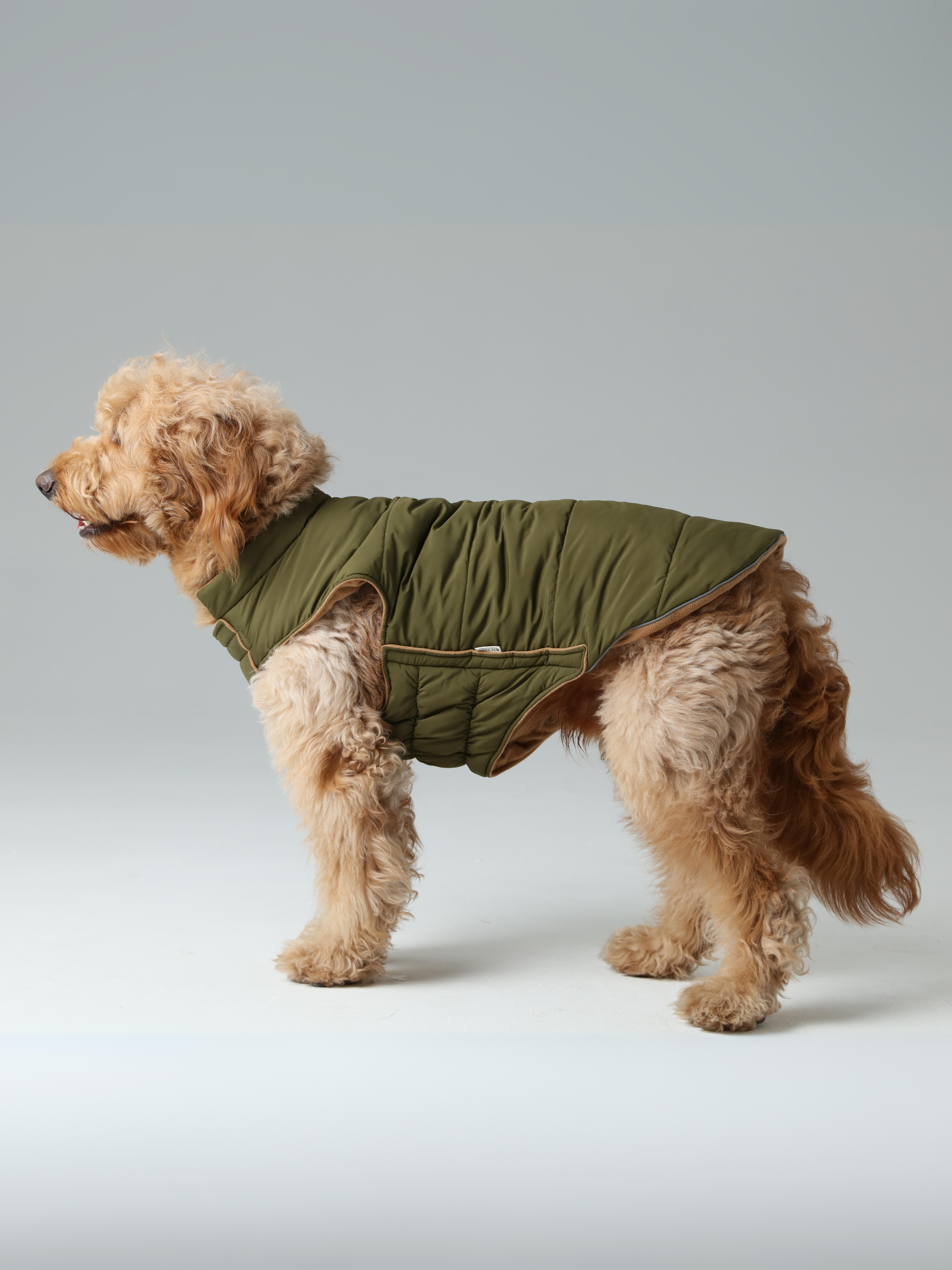 Gilet réversible pour chien - Vert marron