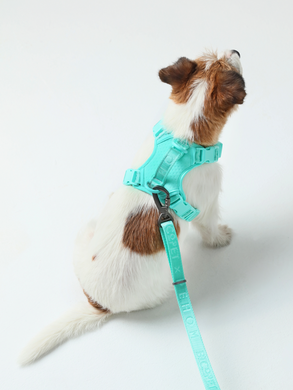 HARNAIS POUR ANIMAUX ANTI-TRACTION - VERT MENTHE