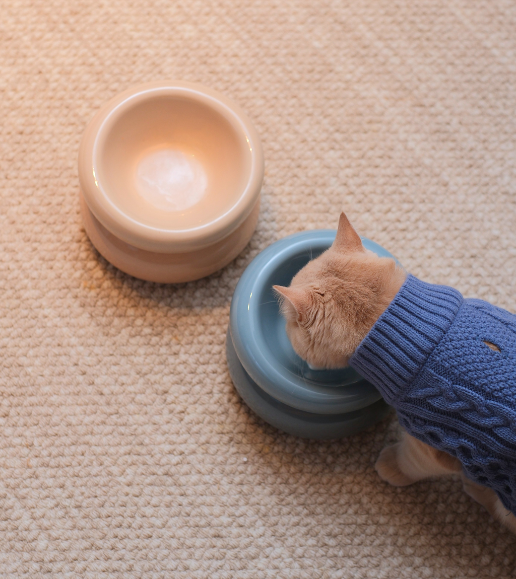 Gamelle Soufflé pour animaux de compagnie - Beige crème