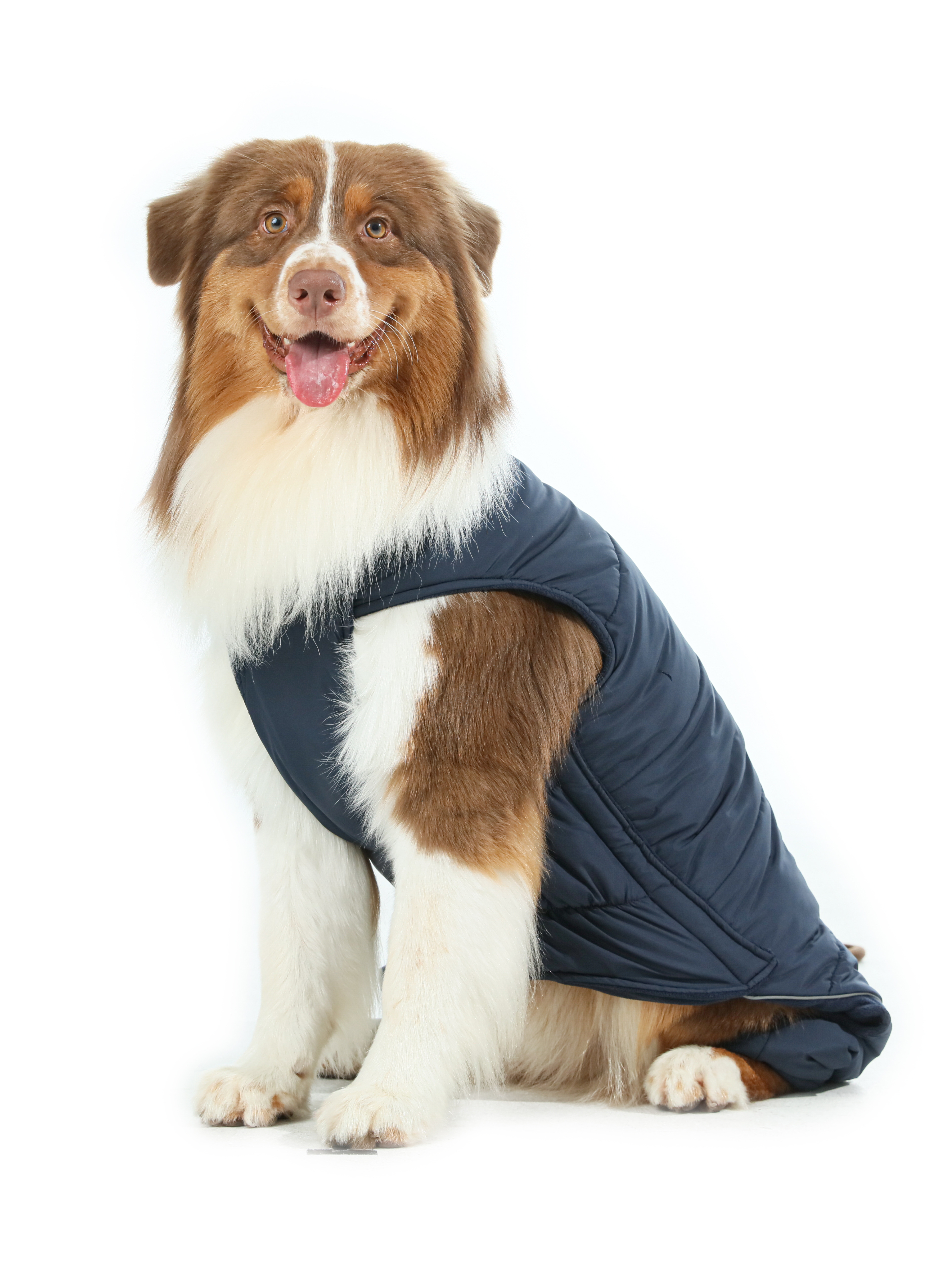 Gilet réversible pour chien - Bleu