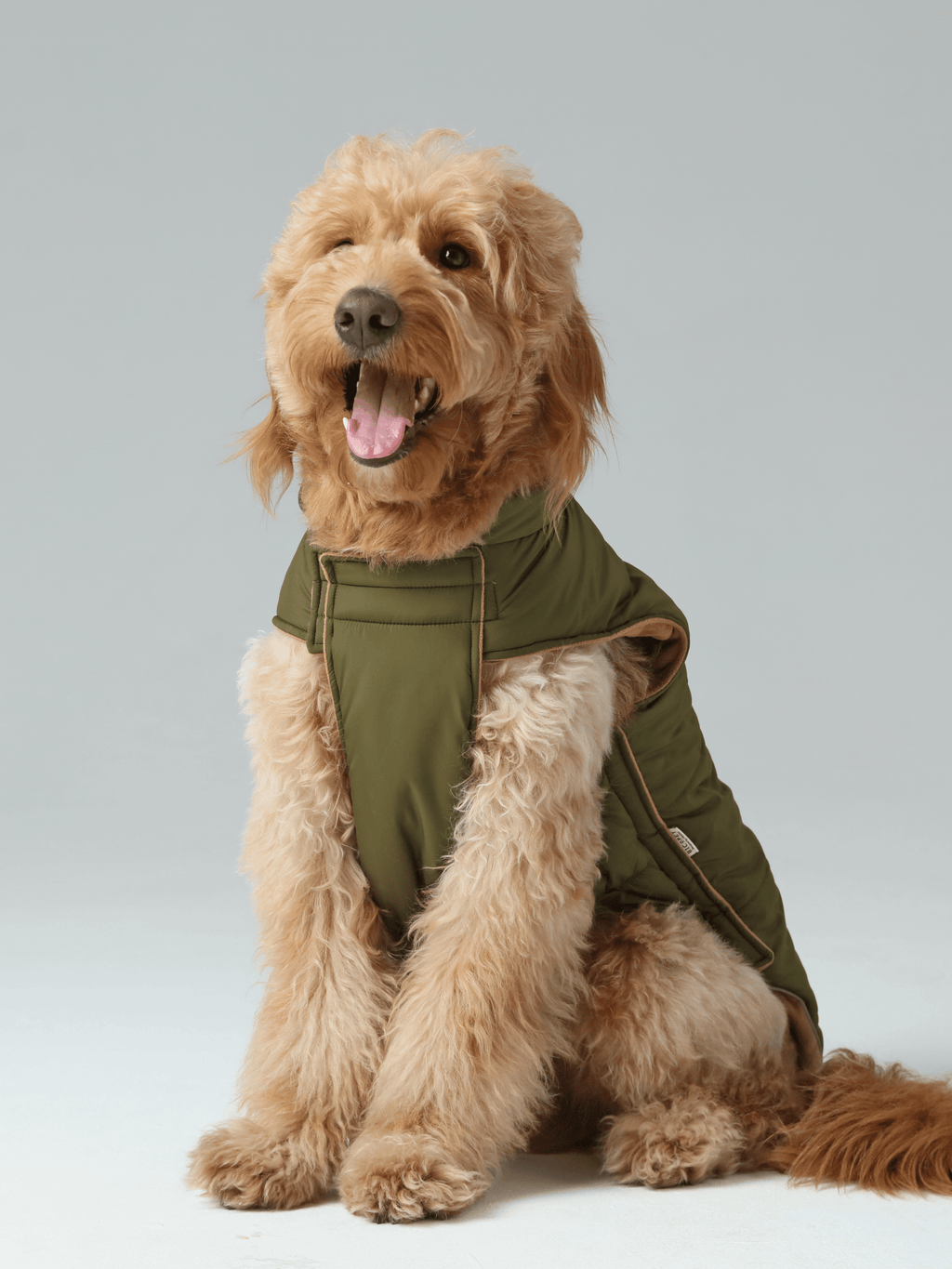 Gilet réversible pour chien - Vert marron