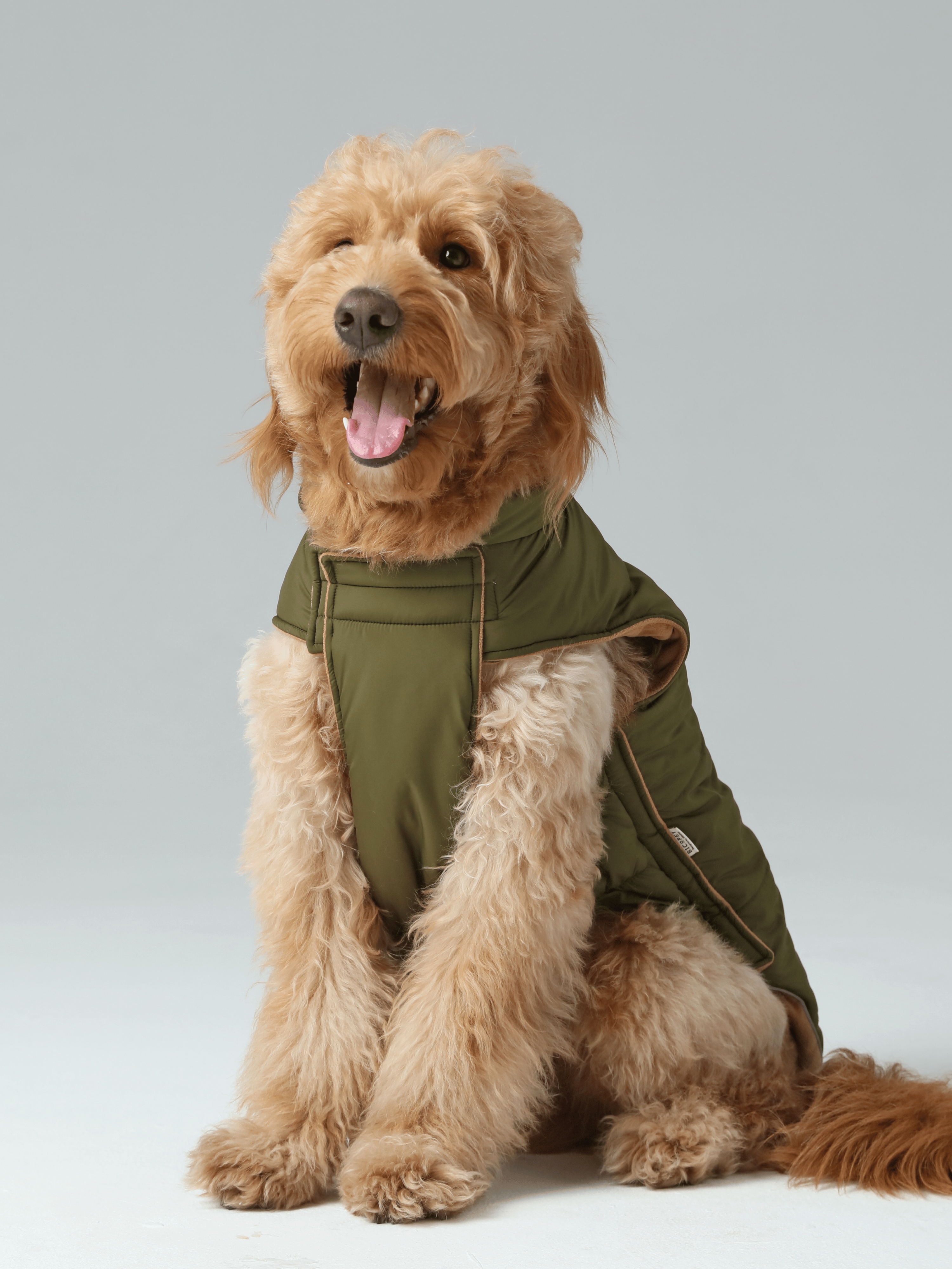Gilet réversible pour chien - Vert marron