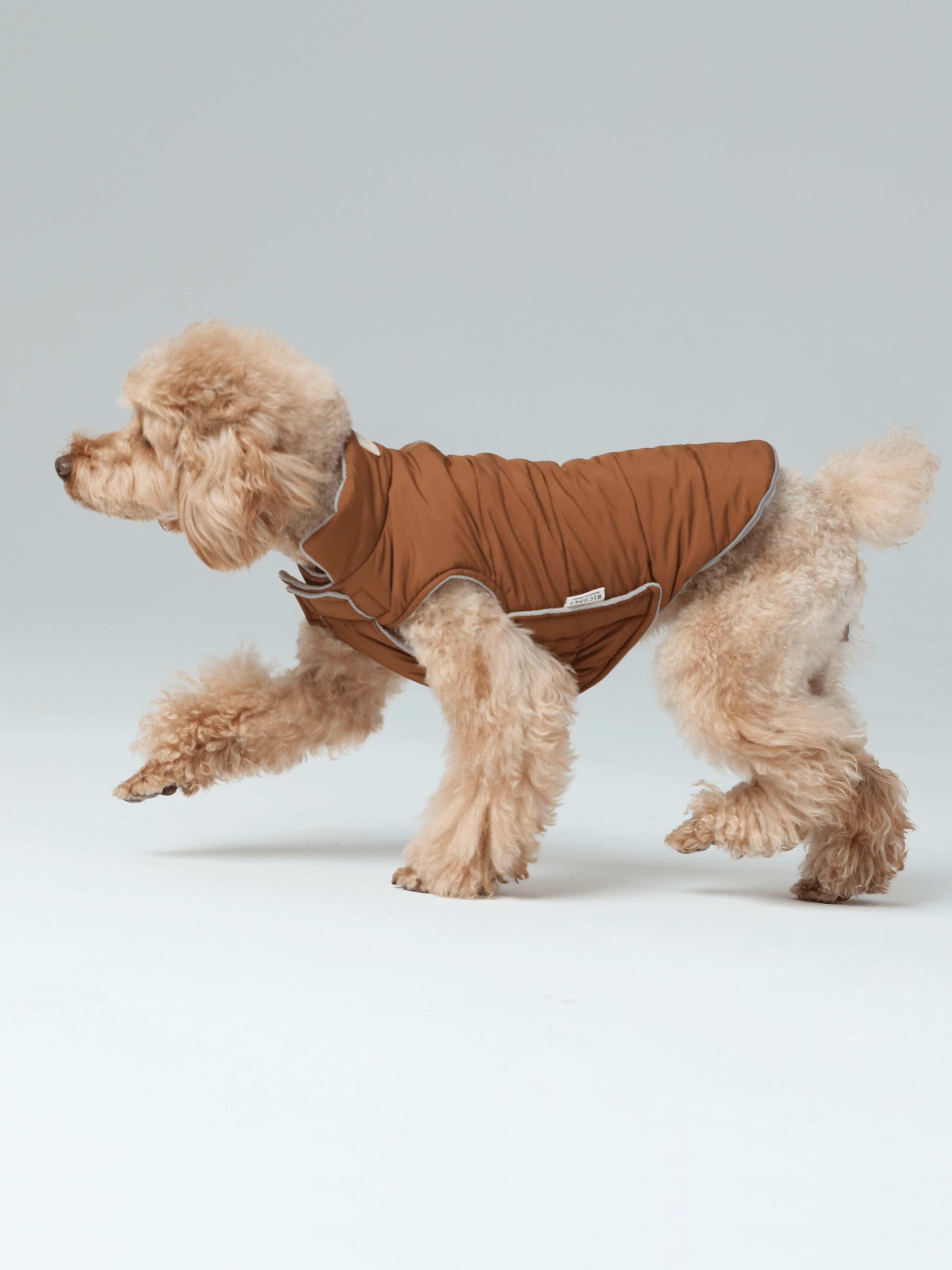 Gilet réversible pour chien - Orange Gris