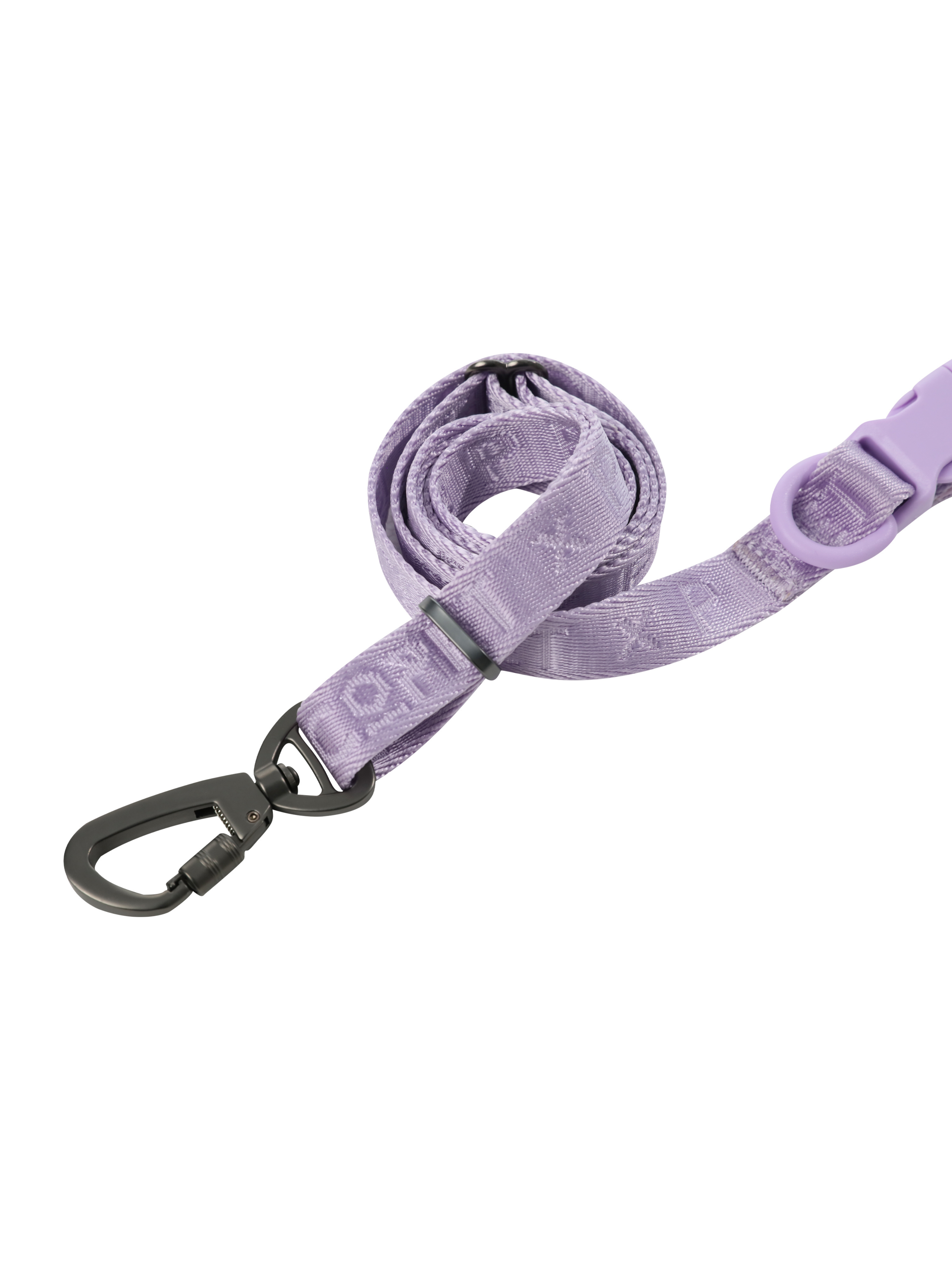 LAISSE REMBOURRÉE ACTIVE POUR ANIMAUX DE COMPAGNIE - VIOLET MENTHE