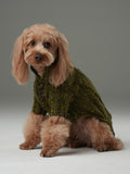 PULL POUR ANIMAL GLACIER - VERT OLIVE