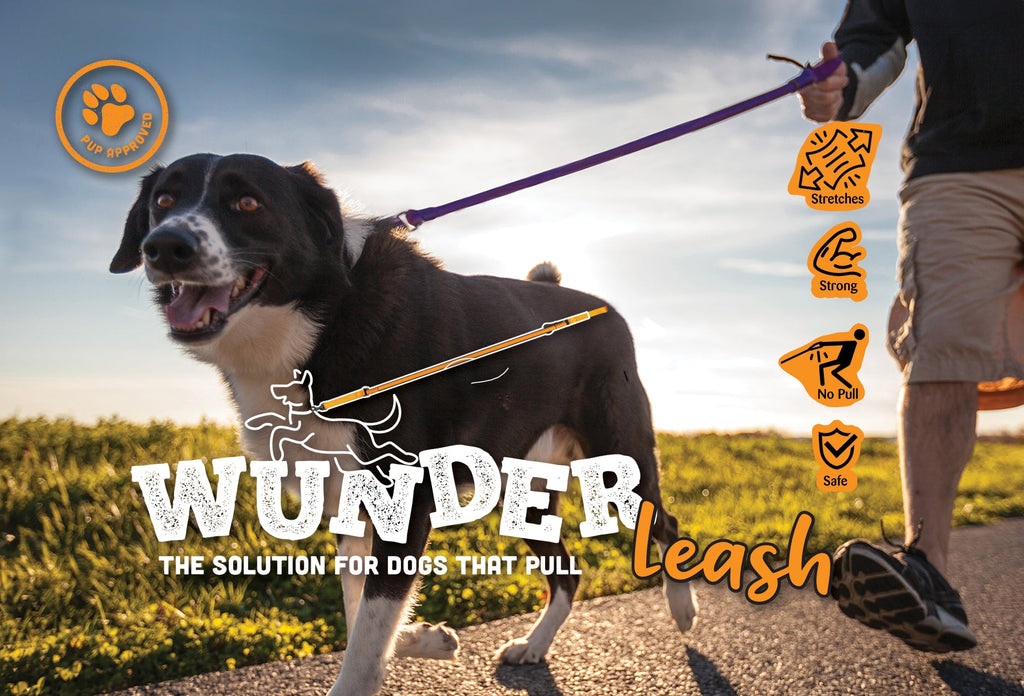 WUNDERleash – La laisse anti-traction originale pour chiens